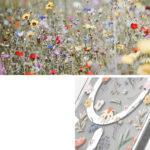 Coque Ringke Fusion MagSafe pour Samsung Galaxy S26 Ultra - Dry Flowers – Image 5